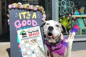 Dog standing outside of a storefront holding a bingo card. 